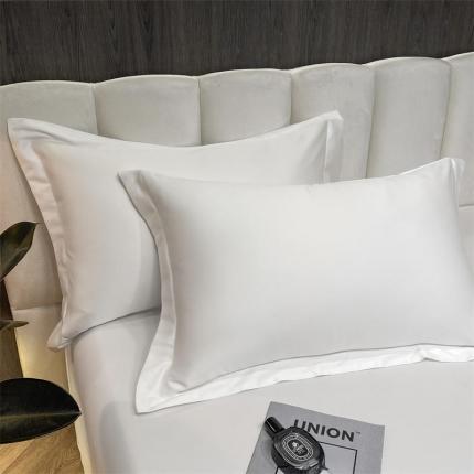 (总）2023新款40支长绒棉素色克莱茵系列-单枕套