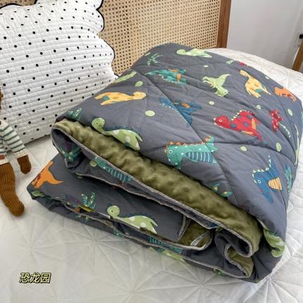 源启生活 2022新款豆豆绒韩国单人豆豆被 恐龙园
