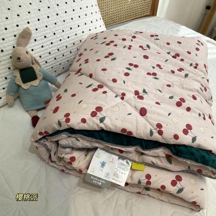 91家纺网 家纺一手货源 找家纺 （总）源启生活 2022新款豆豆绒韩国单人豆豆被