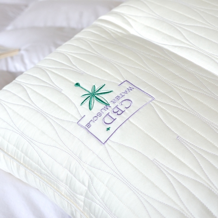 91家纺网 家纺一手货源 找家纺 （总）方回 2022新款CBD植萃精华枕48*74cm