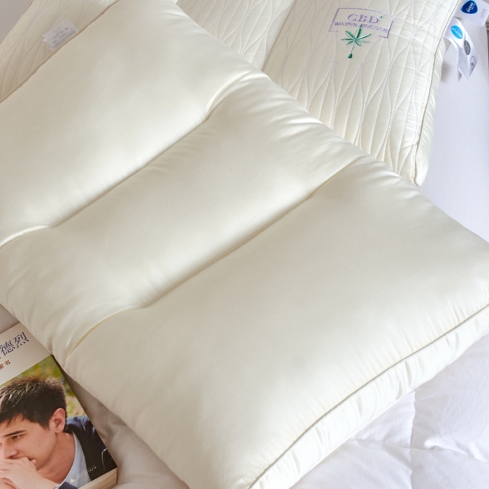 91家纺网 家纺一手货源 找家纺 （总）方回 2022新款CBD植萃精华枕48*74cm