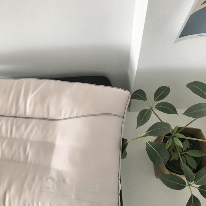 91家纺网 家纺一手货源 找家纺 （总）方回 2022新款艾草护颈枕48*74cm