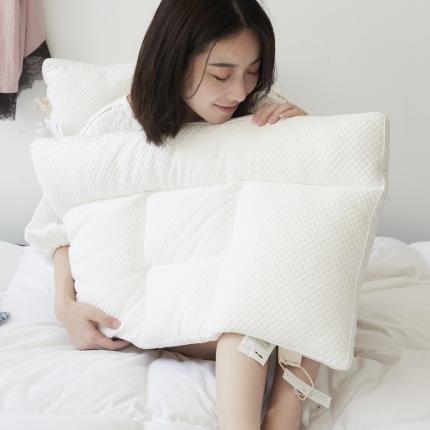 91家纺网 家纺一手货源 找家纺 （总）方回 2022新款立体针织绒五分区枕 48*74cm