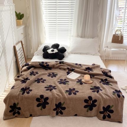 91家纺网 家纺一手货源 找家纺 （总）眠屿 2022新款舒绒棉高克重单层双面毛毯