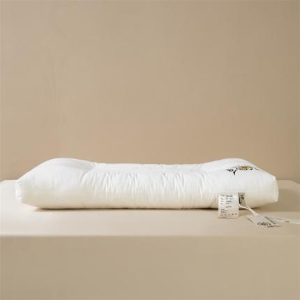 91家纺网 家纺一手货源 找家纺 （总）觉物 2022新款全棉无染原棉民宿枕芯-花开的日子