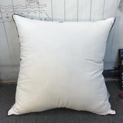 91家纺网 家纺一手货源 找家纺 （总）伟邦 2023新款婚庆全棉羽丝绒靠垫芯