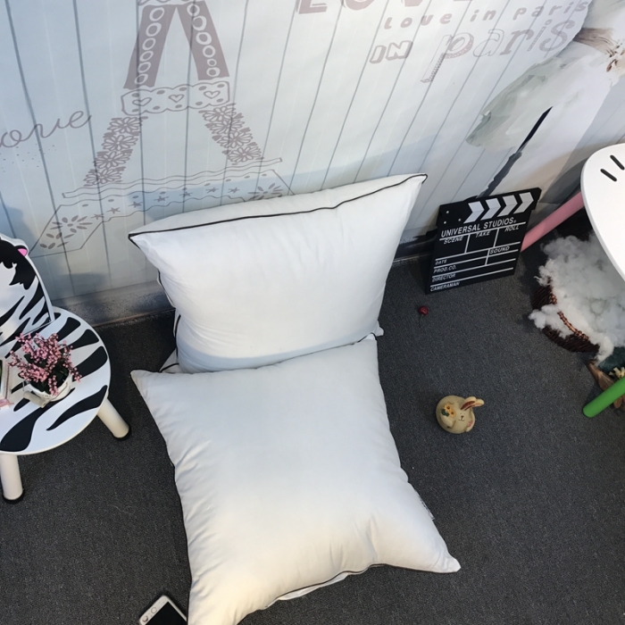 91家纺网 家纺一手货源 找家纺 （总）伟邦 2023新款婚庆全棉羽丝绒靠垫芯