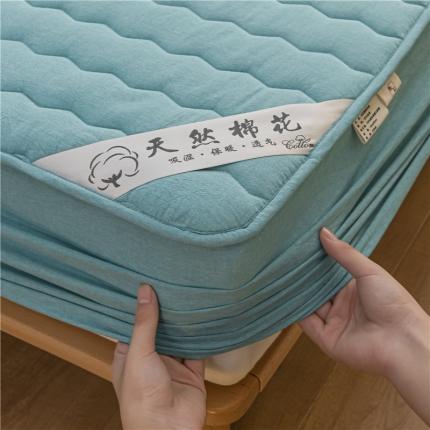 91家纺网 家纺一手货源 找家纺 总雪云美2023新款A类新疆棉花床笠全棉水洗棉夹棉床笠单件