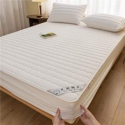 91家纺网 家纺一手货源 找家纺 总雪云美2023新款A类新疆棉花床笠全棉水洗棉夹棉床笠单件,白色,粉灰格,湖蓝色,咖小格,蓝小格,绿小格,米驼,烟灰色