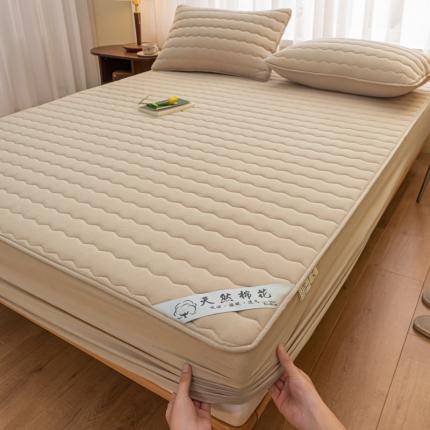 雪云美新款A类新疆棉花床笠 全棉水洗棉夹棉床笠单  米驼