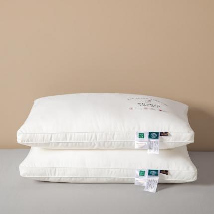 伊被源 2022新款100s安睡羽丝绒枕头枕芯 48*74cm/个双边高枕