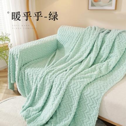 大梧纺织 2023新款毛毯暖乎乎 暖乎乎-绿
