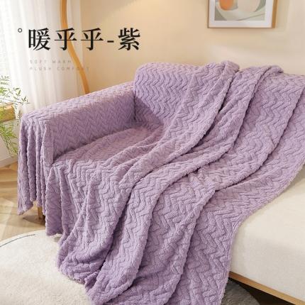 大梧纺织 2023新款毛毯暖乎乎 暖乎乎-紫
