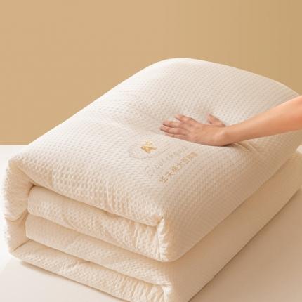 总 伊被源2022新抗菌大豆被冬被春秋被被芯被子-华夫格A+