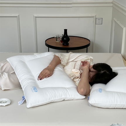 91家纺网 家纺一手货源 找家纺 黑科技三防功能枕芯防水防头油 防污渍男士家用颈椎枕头单只装