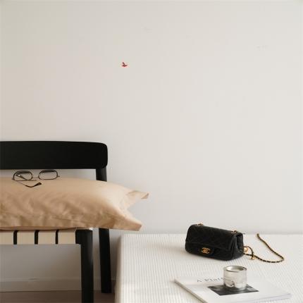 91家纺网 家纺一手货源 找家纺 （总）觉物 2022新款纯色长绒棉枕套/对