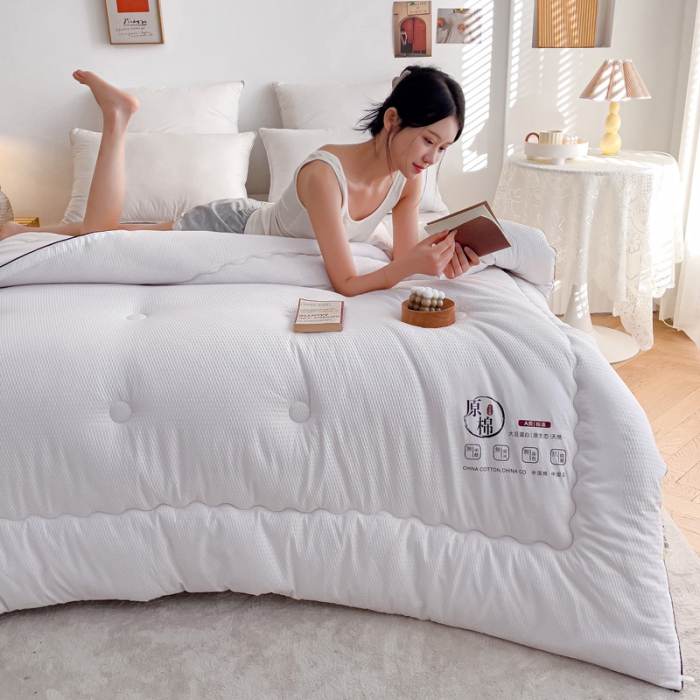 91家纺网 家纺一手货源 找家纺 苏东来加厚立体泡泡原棉大豆纤维被春秋冬被芯子空调被直播