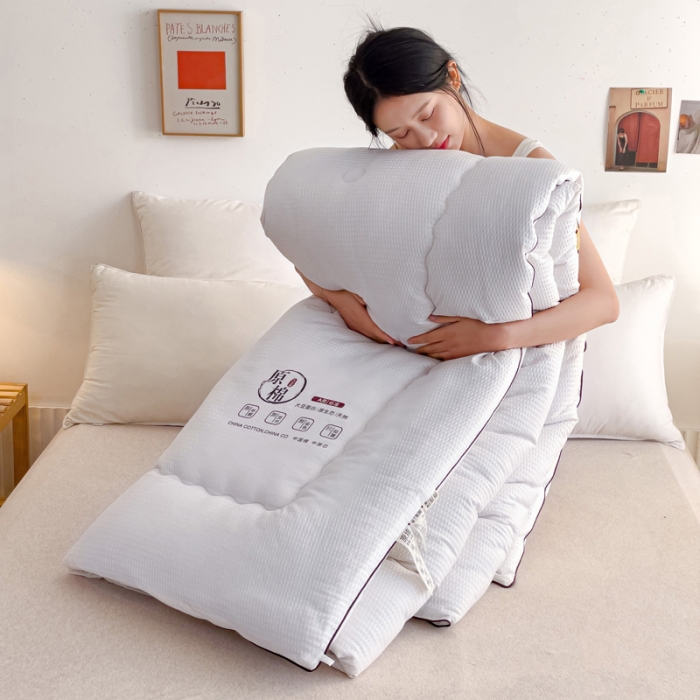 91家纺网 家纺一手货源 找家纺 苏东来加厚立体泡泡原棉大豆纤维被春秋冬被芯子空调被直播