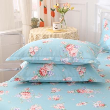 91家纺网 家纺一手货源 找家纺 圣锦 全棉单枕套 玛丽花园-兰