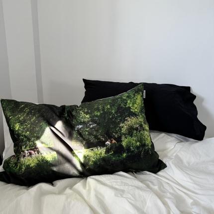 91家纺网 家纺一手货源 找家纺 恋恋三季 2024新款60支长绒棉信封开口枕套 挪威森林