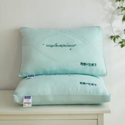 91家纺网 家纺一手货源 找家纺 （总）加维格 2022新款全棉时尚好睡眠枕芯枕头