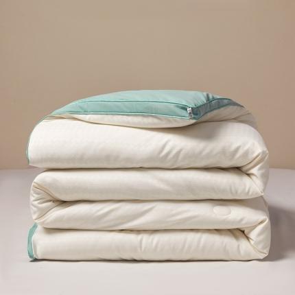 91家纺网 家纺一手货源 找家纺 （总）蓝冰家纺 2024新款立体千鸟格提花冬被子被芯春秋被