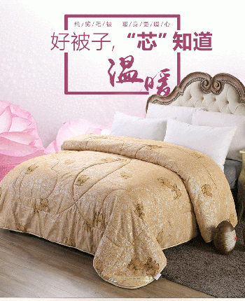 91家纺网 家纺一手货源 找家纺 艾羽之 2024新款驼绒被 驼毛被冬被春秋被被子被芯-珠光浆
