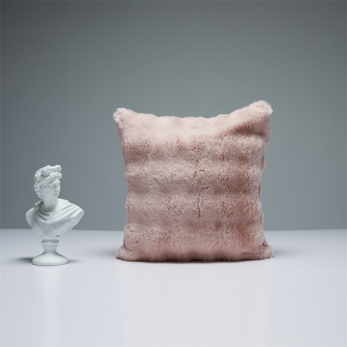 91家纺网 家纺一手货源 找家纺 （总）缔缦2022新款皮草绒抱枕（50*50cm含芯）