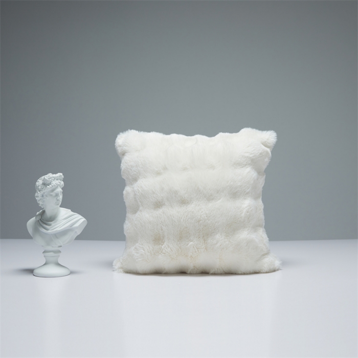 91家纺网 家纺一手货源 找家纺 （总）缔缦2022新款皮草绒抱枕（50*50cm含芯）