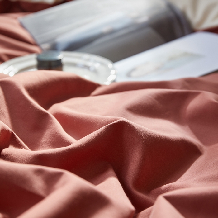 91家纺网 家纺一手货源 找家纺 怡家居 2022新款全棉100支磨毛四件套 砖红-奶玉