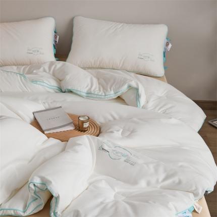 91家纺网 家纺一手货源 找家纺 （总）境月 2023新款中护盾春秋被冬被被子被芯