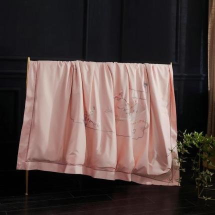 91家纺网 家纺一手货源 找家纺 （总）畅畅 2023新款60长绒棉刺绣羽丝棉被被子被芯