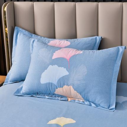 91家纺网 家纺一手货源 找家纺 润淳 2025加厚磨毛单品系列全棉磨毛单枕套沐雅清风