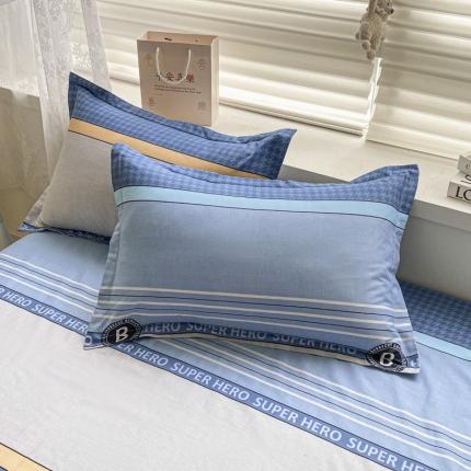 91家纺网 家纺一手货源 找家纺 (总) 菲梵 2025年新款喷气小清新全棉印花单品枕套