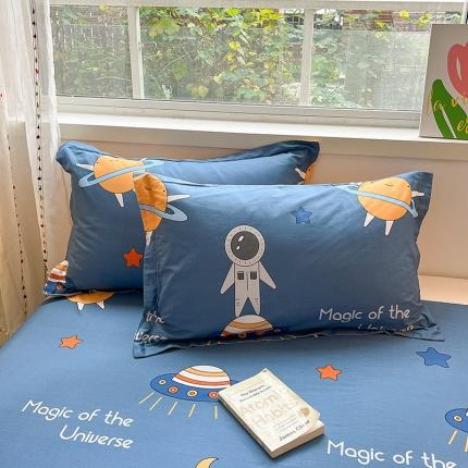 91家纺网 家纺一手货源 找家纺 (总) 菲梵 2025年新款喷气小清新全棉印花单品枕套