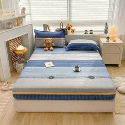 91家纺网 家纺一手货源 找家纺 菲梵  2025年新款喷气小清新全棉印花单品床笠及三件套 波尔曼