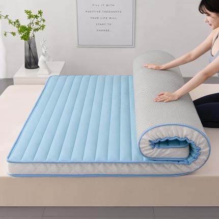 91家纺网 家纺一手货源 找家纺 （总）亿丁点2023新款Ａ类牛奶丝乳胶记忆棉充填