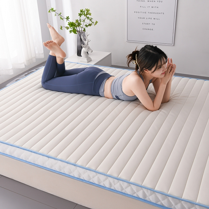 91家纺网 家纺一手货源 找家纺 亿丁点2023新款Ａ类牛奶丝乳胶记忆棉充填 A类牛奶丝大床白色5cm