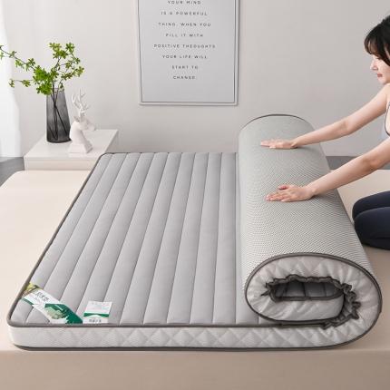 亿丁点2023新款Ａ类牛奶丝乳胶记忆棉充填 A类牛奶丝大床灰色5cm