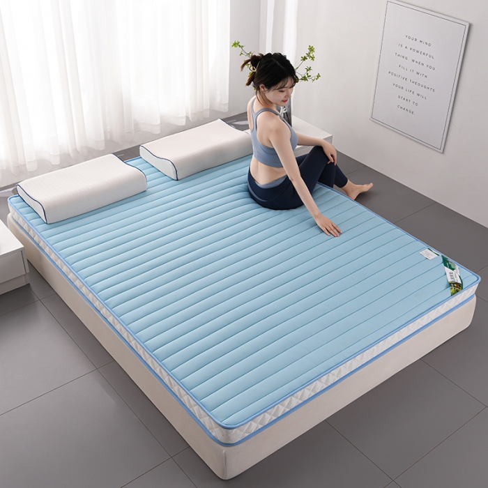 91家纺网 家纺一手货源 找家纺 亿丁点2023新款Ａ类牛奶丝乳胶记忆棉充填 A类牛奶丝大床天蓝色9cm