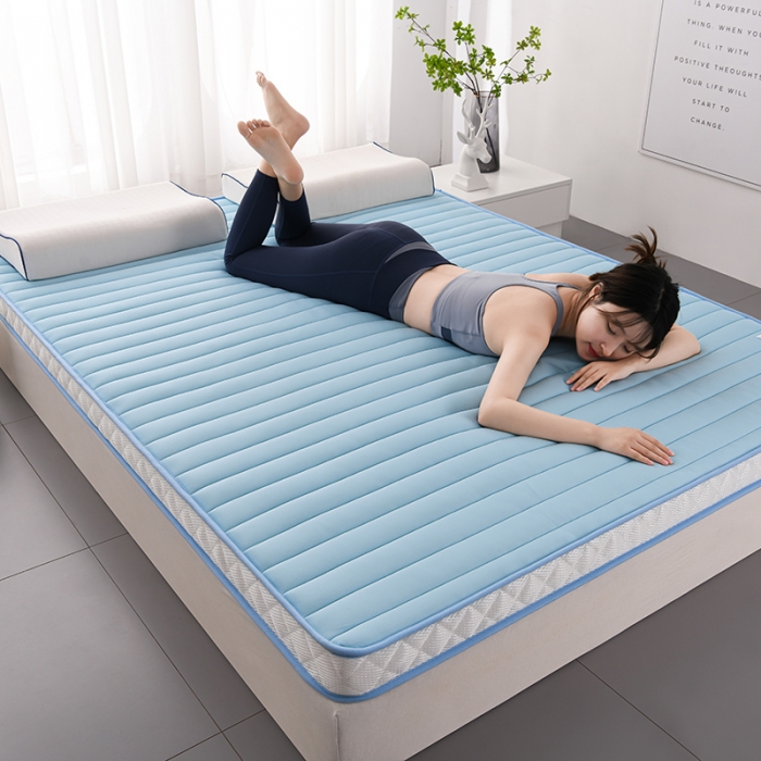 91家纺网 家纺一手货源 找家纺 亿丁点2023新款Ａ类牛奶丝乳胶记忆棉充填 A类牛奶丝大床天蓝色9cm