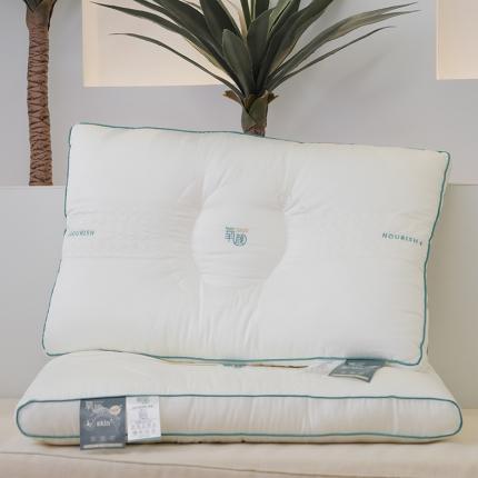 （总）爱尚家枕芯 2022新款氧颜蛋白舒适柔肤枕枕头枕芯