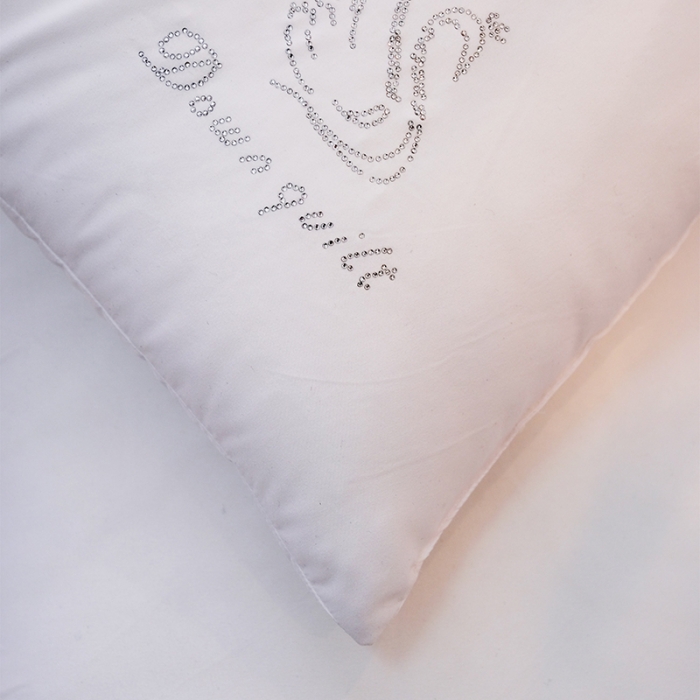 91家纺网 家纺一手货源 找家纺 （总）爱尚家 2022新款烫钻柔丝安睡枕枕头枕芯系列