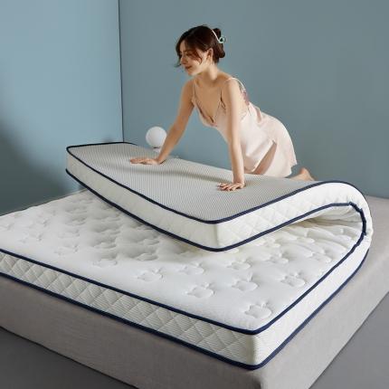 91家纺网 家纺一手货源 找家纺 （总）祁恋婷 2023新款双人乳胶硬质棉床垫【床垫遮盖物】