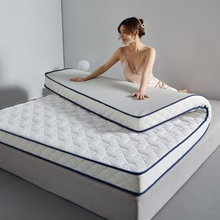 91家纺网 家纺一手货源 找家纺 （总）祁恋婷 2023新款双人乳胶硬质棉床垫【床垫遮盖物】