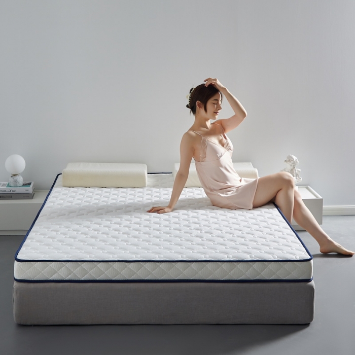 91家纺网 家纺一手货源 找家纺 （总）祁恋婷 2023新款双人乳胶硬质棉床垫【床垫遮盖物】