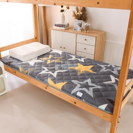 防水榻榻米床垫软垫折叠地铺睡垫懒人家用垫子 星星空间-加厚款