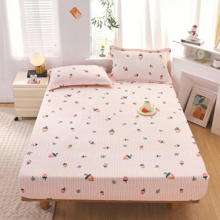 91家纺网 家纺一手货源 找家纺 拾物记 2023新款全棉喷气花卉条纹格子系列单床笠 阿华田