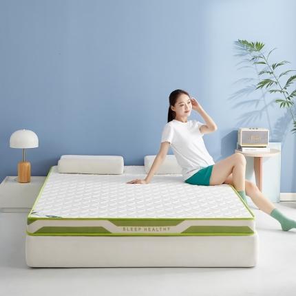 总舒雅床垫  2023新款乳胶记忆海绵透气成人床垫不塌陷床垫