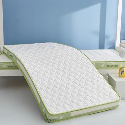 迪乐妮 2023A类铂金棉记忆棉炫彩乳胶立体床垫 薄荷绿-白色